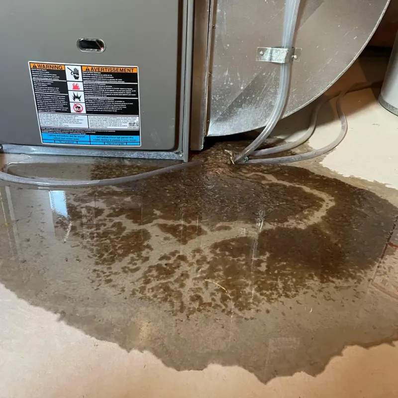 Appliance Leak Cleanup in Lamoille County, VT